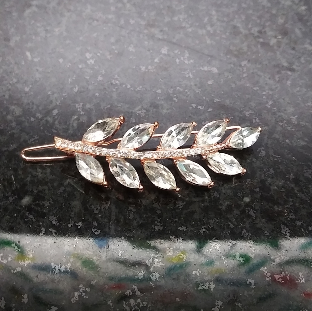 Sparkly eye catching barrete